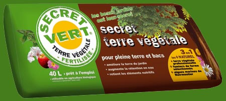 Secret Vert Terre Végétale